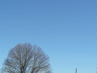Vinhais-7,8-03-14 (13)